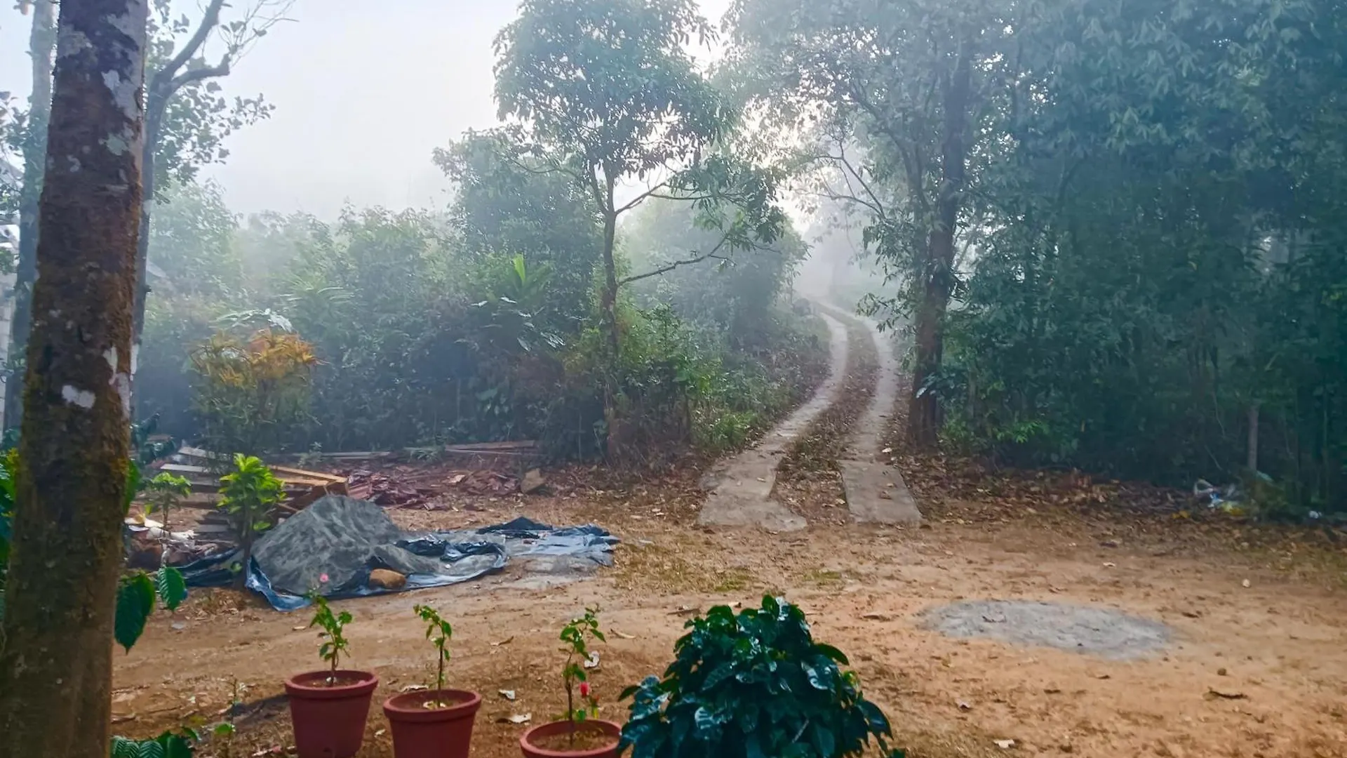 Tharayil Farm Stay Vagamon India